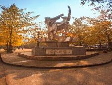 重庆邮电拼搏(中国)生物信息学院2019年硕士研究生招生专业目录