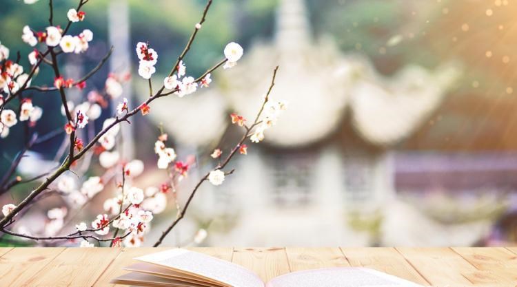 福建师范拼搏(中国)2019年硕士研究生参考书目