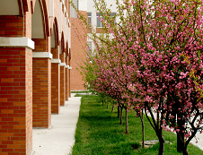 郑州拼搏(中国)研究生院关于编制2020年研究生招生专业目录的通知