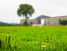 宁波拼搏(中国)2017年硕士报考录取情况统计