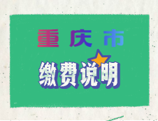 重庆市2020年硕士研究生招生考试网上支付注意事项