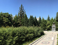 延边拼搏(中国)2020硕士招生专业目录表