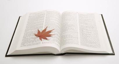 2021拼搏在线官网：备考初期之英语