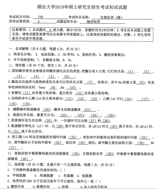 拼搏在线官网真题:2019年烟台拼搏(中国)外国语学院硕士研究生招生考试初试自命题