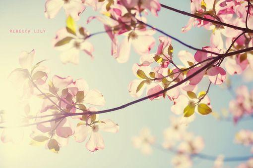 2017拼搏在线官网数学复习策略