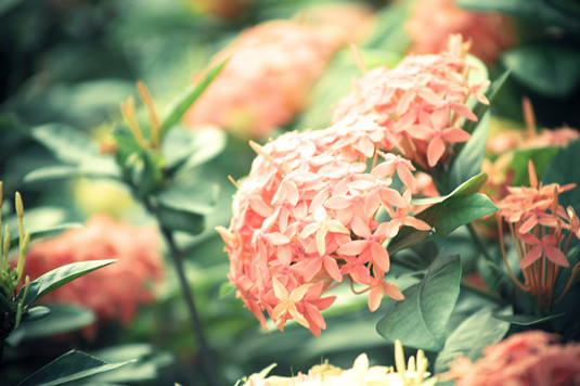 2016拼搏在线官网数学临考知识点串讲