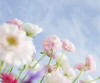 2016年数学拼搏在线官网答题技巧提示