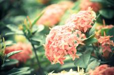 2016拼搏在线官网数学临考知识点串讲